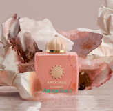 آمواج گایدنس